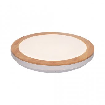 Plafoniera moderna led 24W Roundwood EL0060136 Erste