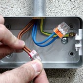 Conectori doza cablu rigid 2 poli 0.5-2.5mm 2273 WAGO