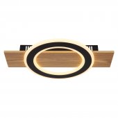 Plafoniera led 18W JAYDEN 48038-18 Globo
