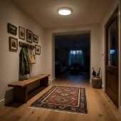 Plafoniera moderna led 18W CCT CATALINA-18W HOROZ